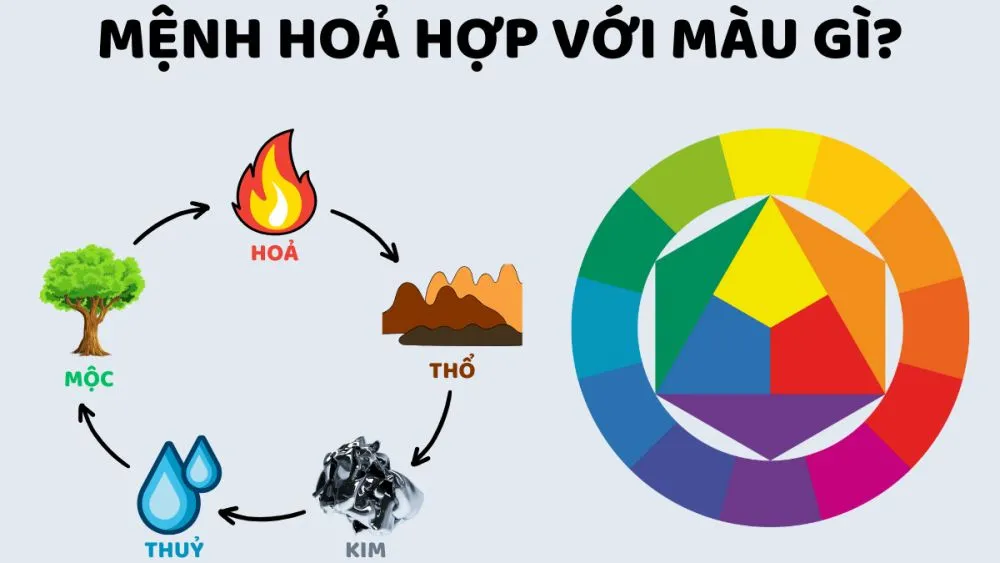 Màu sắc hợp mệnh Hỏa tuổi Mậu Tý 2008