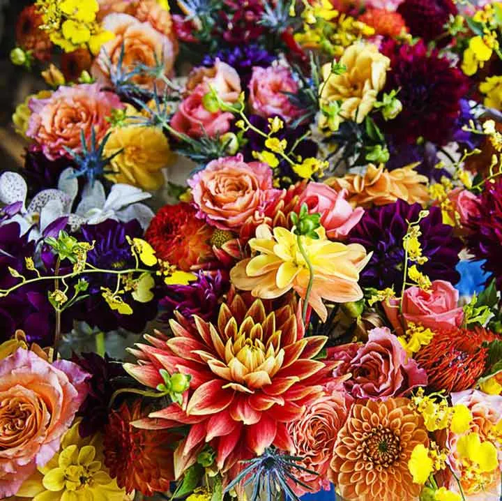 flowers english vocabulary
